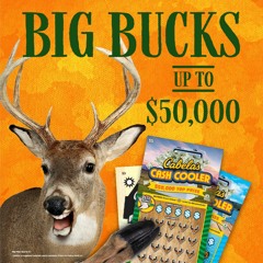 IDL - Radio - Cabelas30 - NiceBucks