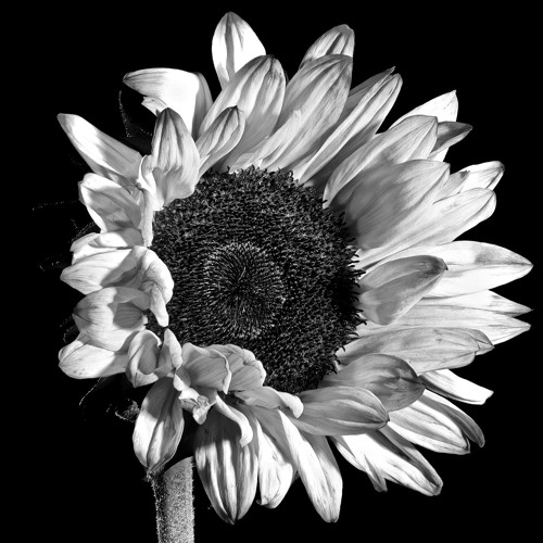 Memory - Sabba (Original Mix)