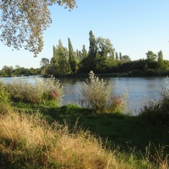 сhilly sounds for celebrating human life