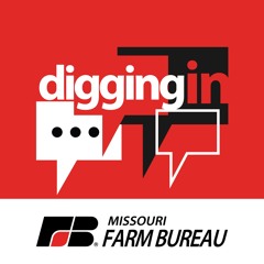 Digging Into Commodity Conference (Part 5) with Ted Schroeder