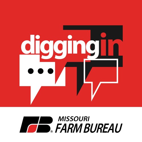 Digging Into Commodity Conference (Part 5) with Ted Schroeder