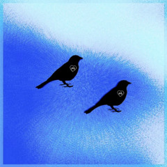 Xyla & James - Bird Feeder
