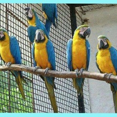 обычный день