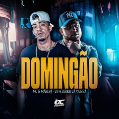 Mc R Marley - Domingão ( DJ Ferrujo Da Serra )