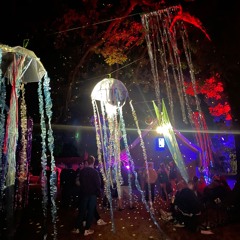 flottelotte@knisper25