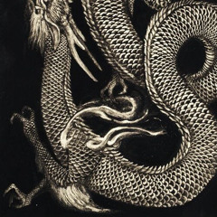 FLESH - Schwarze Sonne