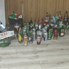 nikita - dumus as cia palinu