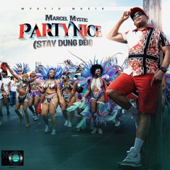 Party Nice(Stay Dung Deh)