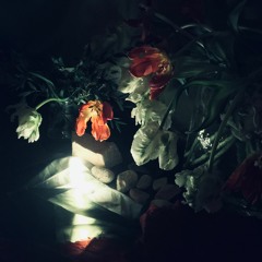 Tearful Moon (Homemixed)