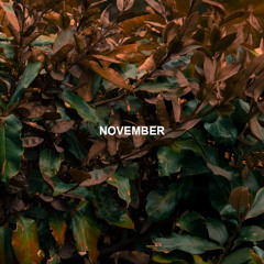 NOVEMBER