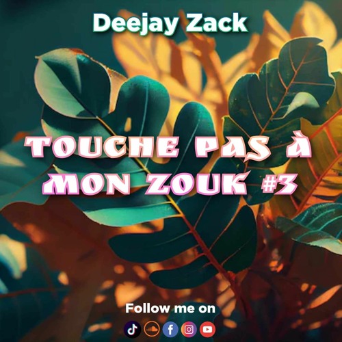 TOUCHE PAS À MON ZOUK #3
