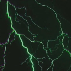 JSLIME-Booted (prod.23gelato X Evo)