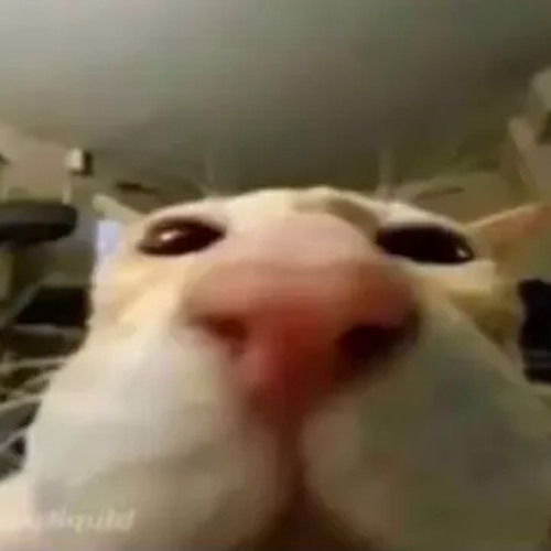 That one part in うずまき - Machine Girl [extended] (Palmtree Panic "P" Mix MG edit)