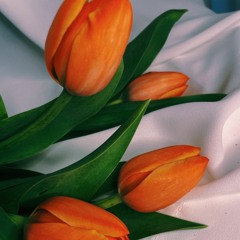 RAYE - Off My Face(Justin Bieber)