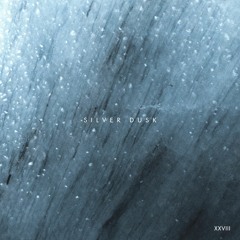 [PREMIERE] > about : river - Hidden Movement [Nie Wieder Schlafen]