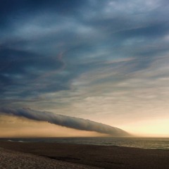 Skies