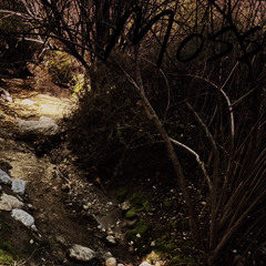 Moss