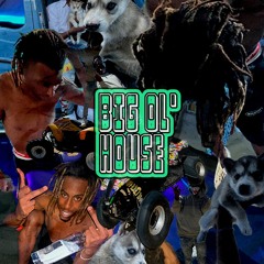 Swizzi - Big Ol' House (prod.level)