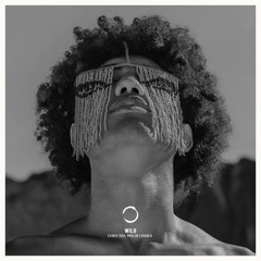 Premiere: Chris IDH, Malin Linnéa - Wild [Bercana Music]
