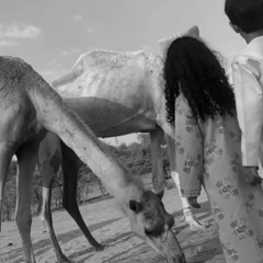 ‎⁨علي بن روغة يالشامسي لاتحير⁩