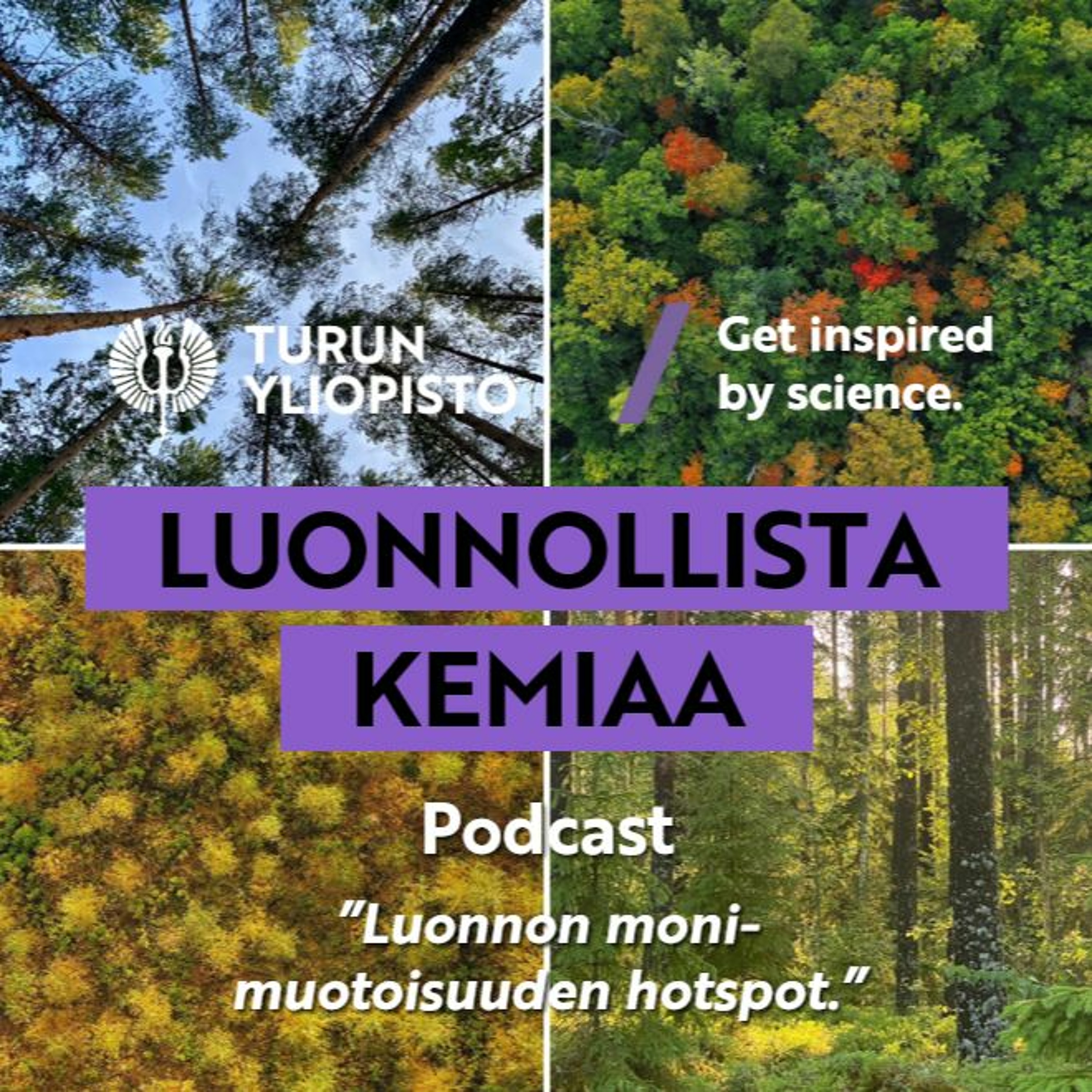 Luonnollista kemiaa: Luonnon Monimuotoisuuden Hotspot episode artwork