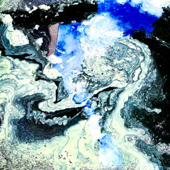 Dog's Dinner / Madness