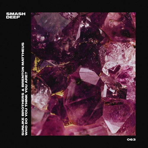 Sunlike Brothers & Brenton Mattheus - Who Do You Think You Are?