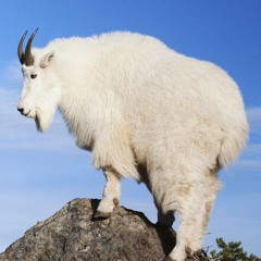 Get This: Talkback Mountain Theme - Blinded Me With Science