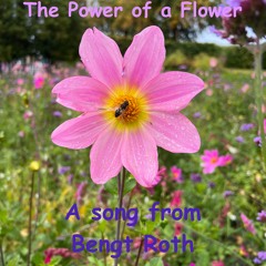 The Power of a Flower