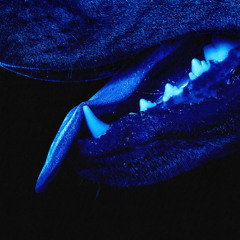 Paradise Runner (clip)