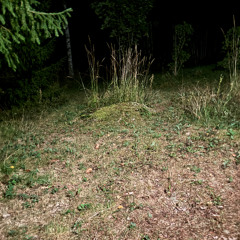 The Ice House  - 2025-03-11, 21.40