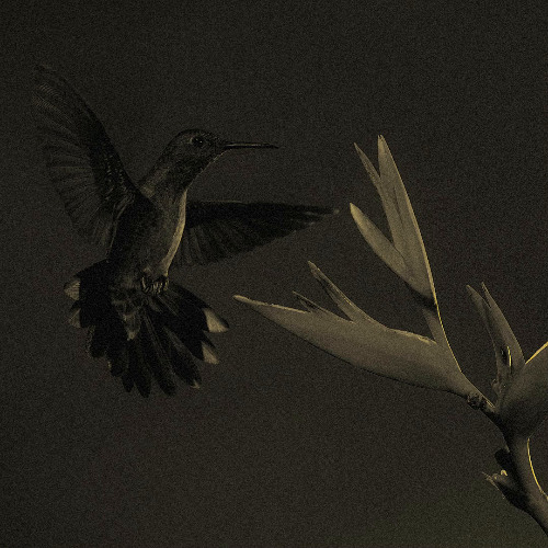 mask grows thicker (interlude) Prod. by: wxsted