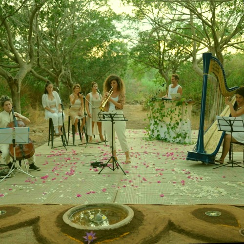 Lemon And Soul - Into The Deep Blue (Live @ The Ficus Grove)