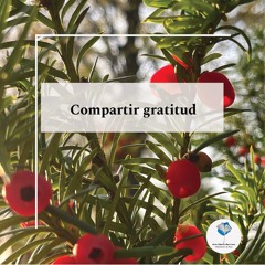 Compartir gratitud