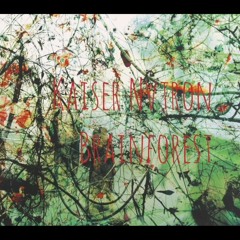 Kaiser Nvtron - Brainforest