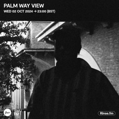 Palm Way View - 02 October 2024