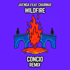 Jaenga (feat. Charmae) - WILDFIRE (concio remix)
