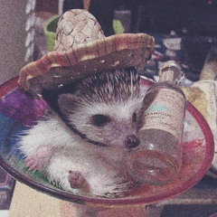 wicked games (orig. The Weeknd)