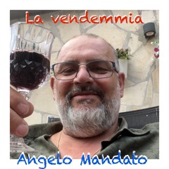 la vendemmia - Angelo Mandato