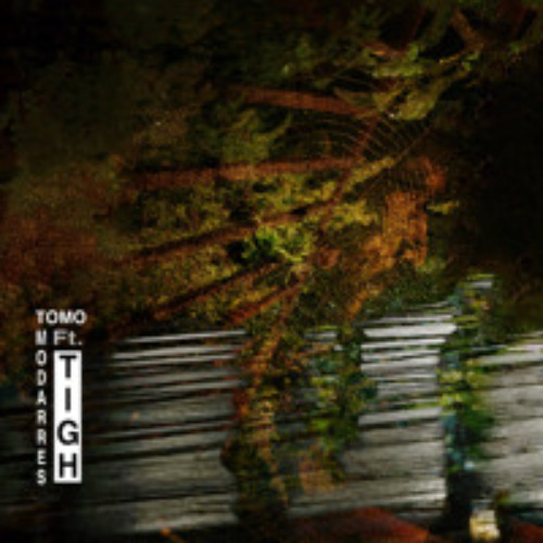TIGH (Feat. Modarres)