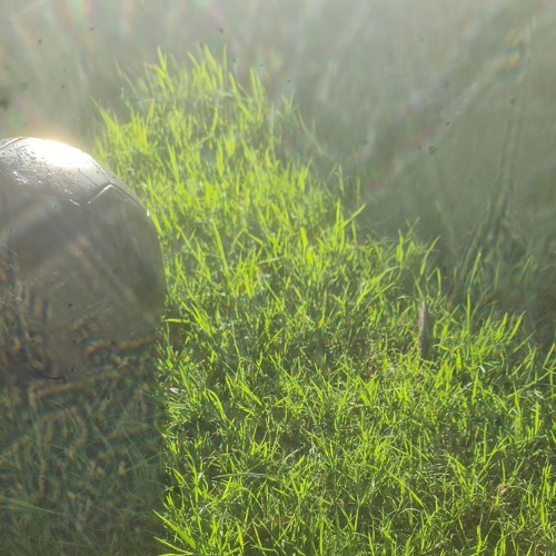 Grow Gorbachev Grass