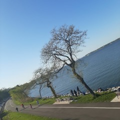 Secreto El Famoso Biberon  - Hierba mala no muere.mp3