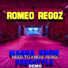Wanna Know Freestyle Demo (Need To Know Remix)