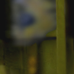 Sixth Era of Mass Extinction