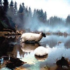 IGOR - Почерк
