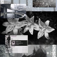 DRIFT prod 1mochji, juvxol