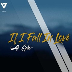 Ali Gatie - If I Fall In Love(COPYPVSTE Remix)