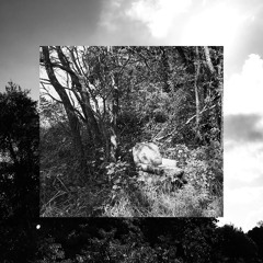 Obscured (prod. kejzi)