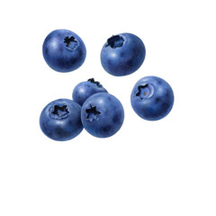 froot