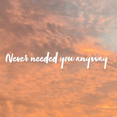 Never Needed You Anyway